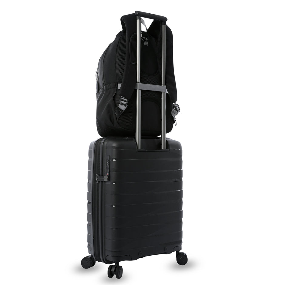 MORRAL GOCTAL